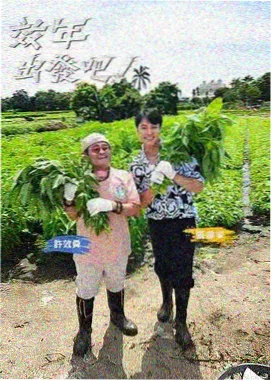 天赐的声音